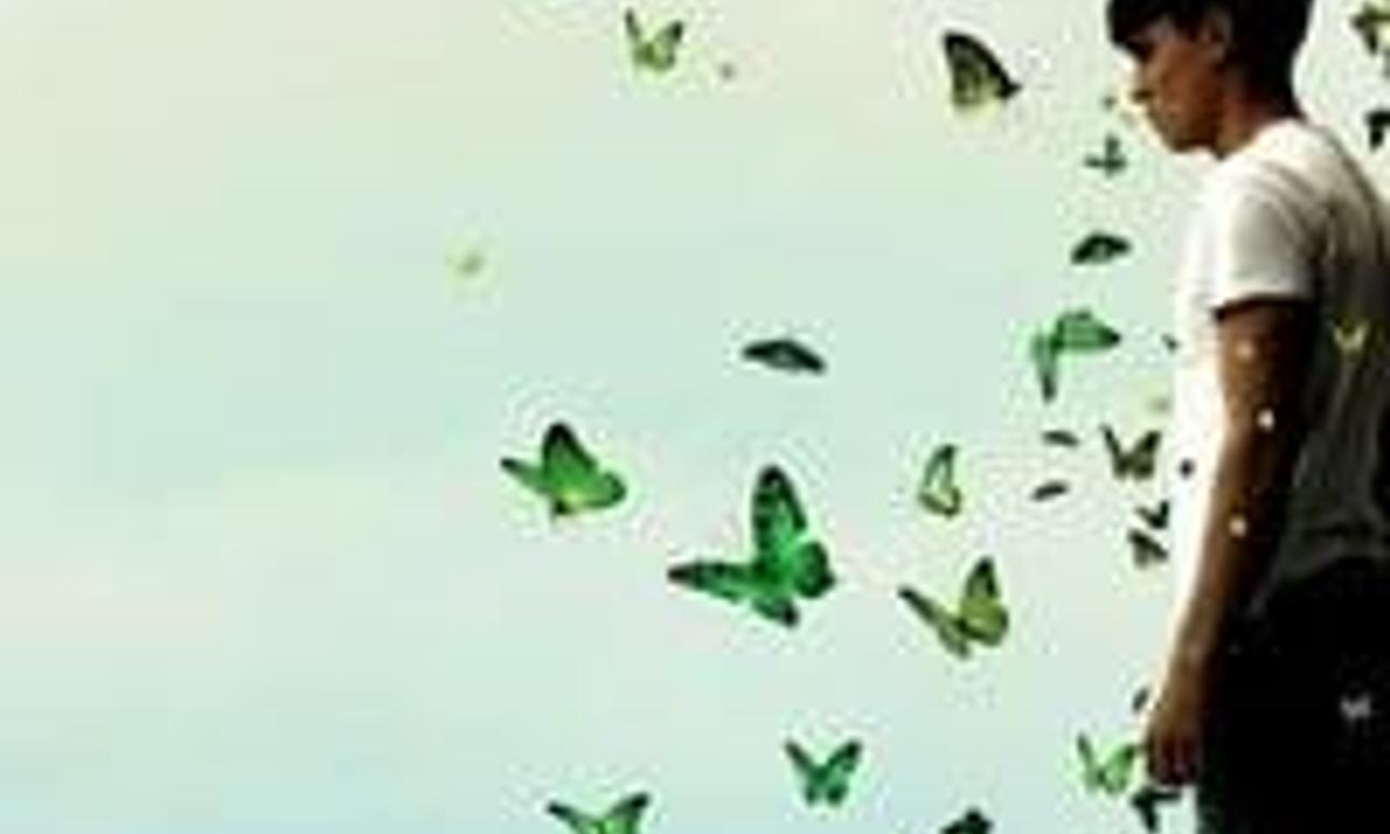 header image for Green Butterflies