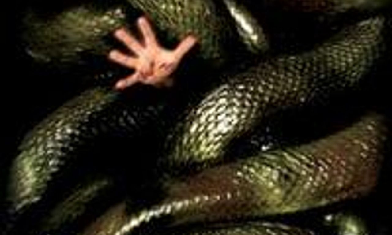 header image for Anacondas: The Hunt for the Blood Orchid