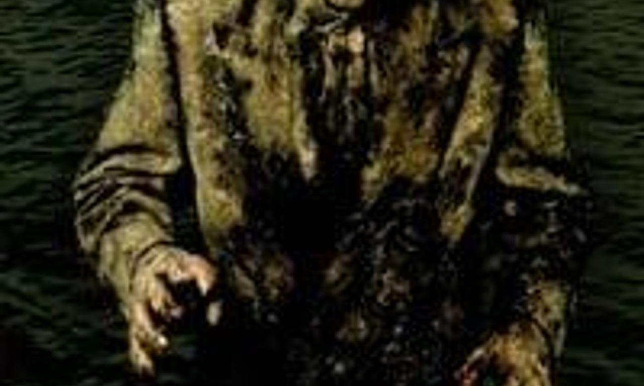 header image for The Crypt