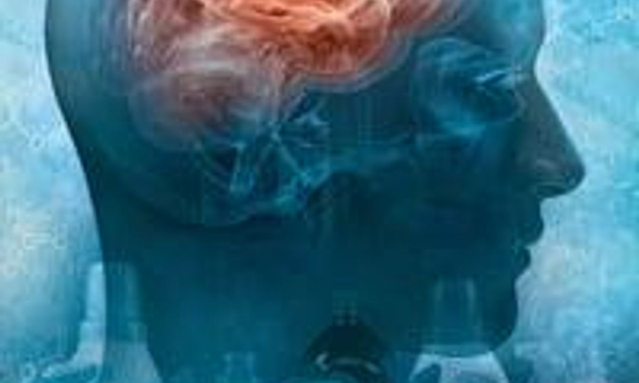 header image for Brains in Danger