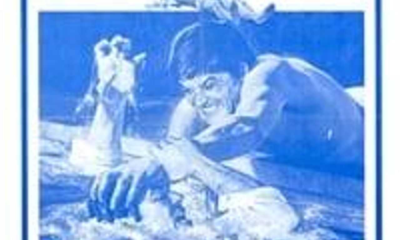 header image for The Swimming Pool