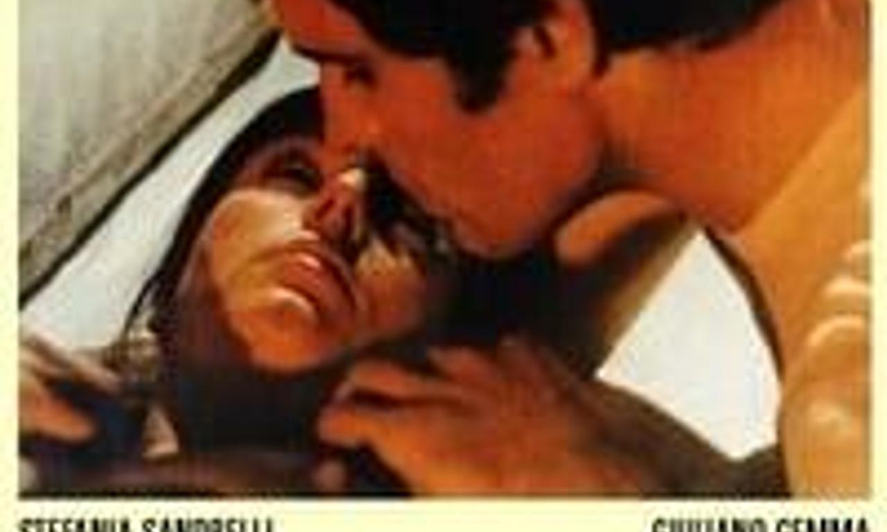 header image for Somewhere Beyond Love