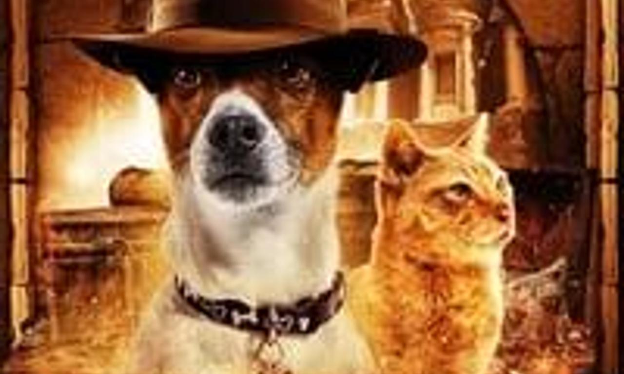 header image for Treasure Hounds