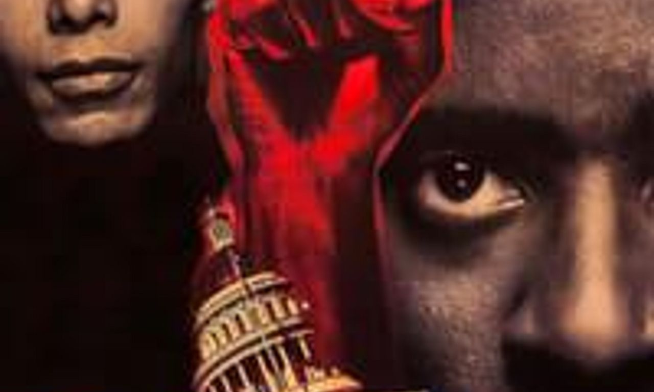 header image for Panther