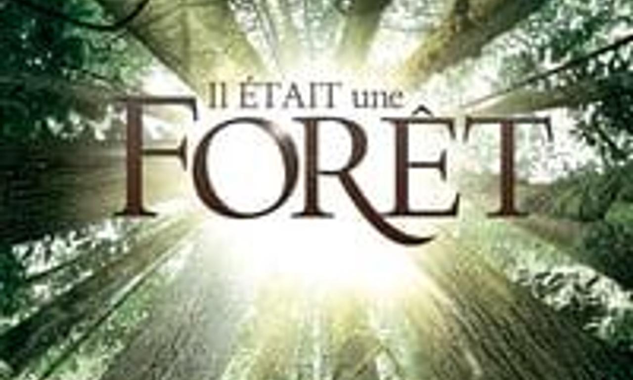 header image for Once Upon a Forest