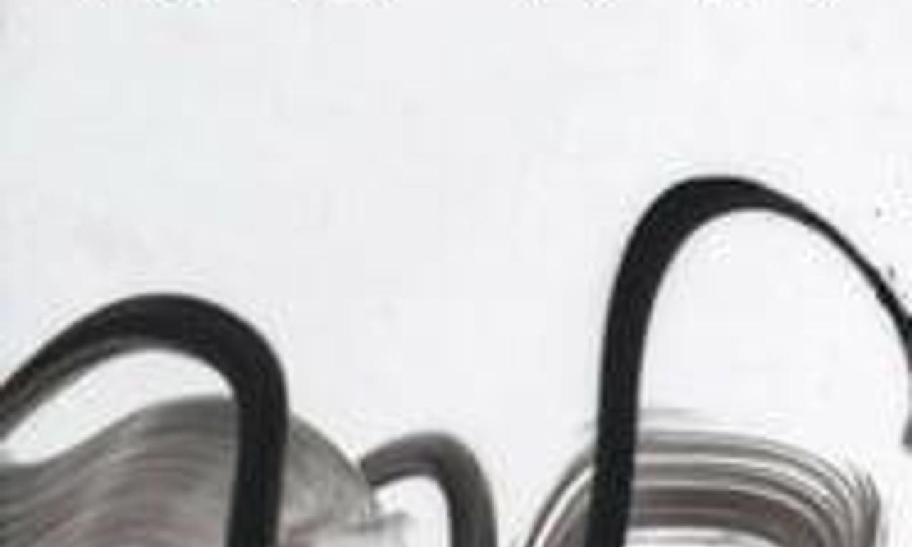 header image for The Washing Society