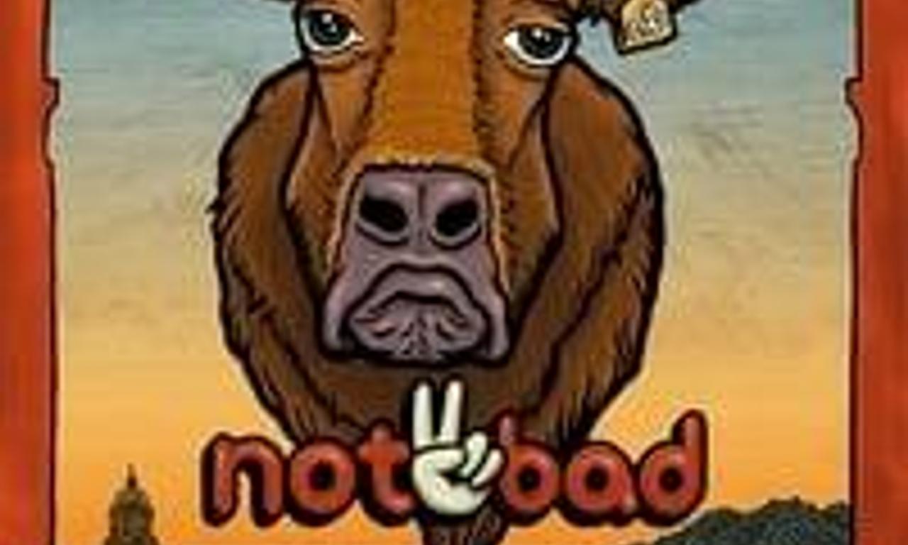 header image for Not2Bad