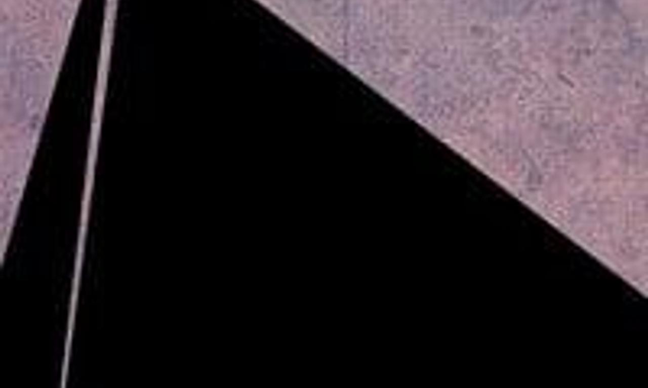 header image for While No One Is Watching