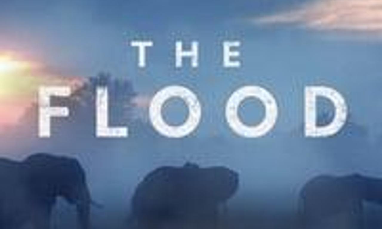header image for The Flood