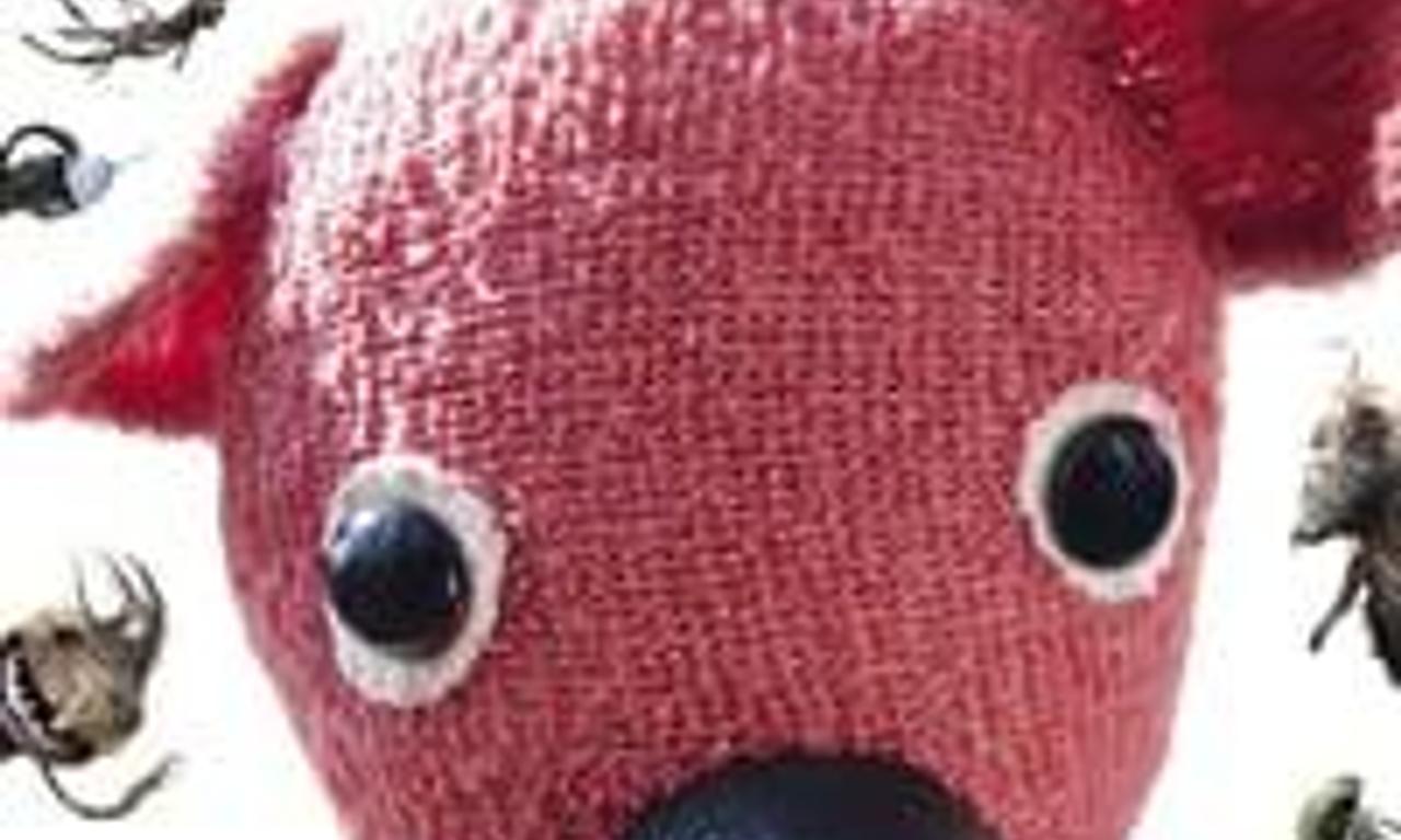 header image for Kooky