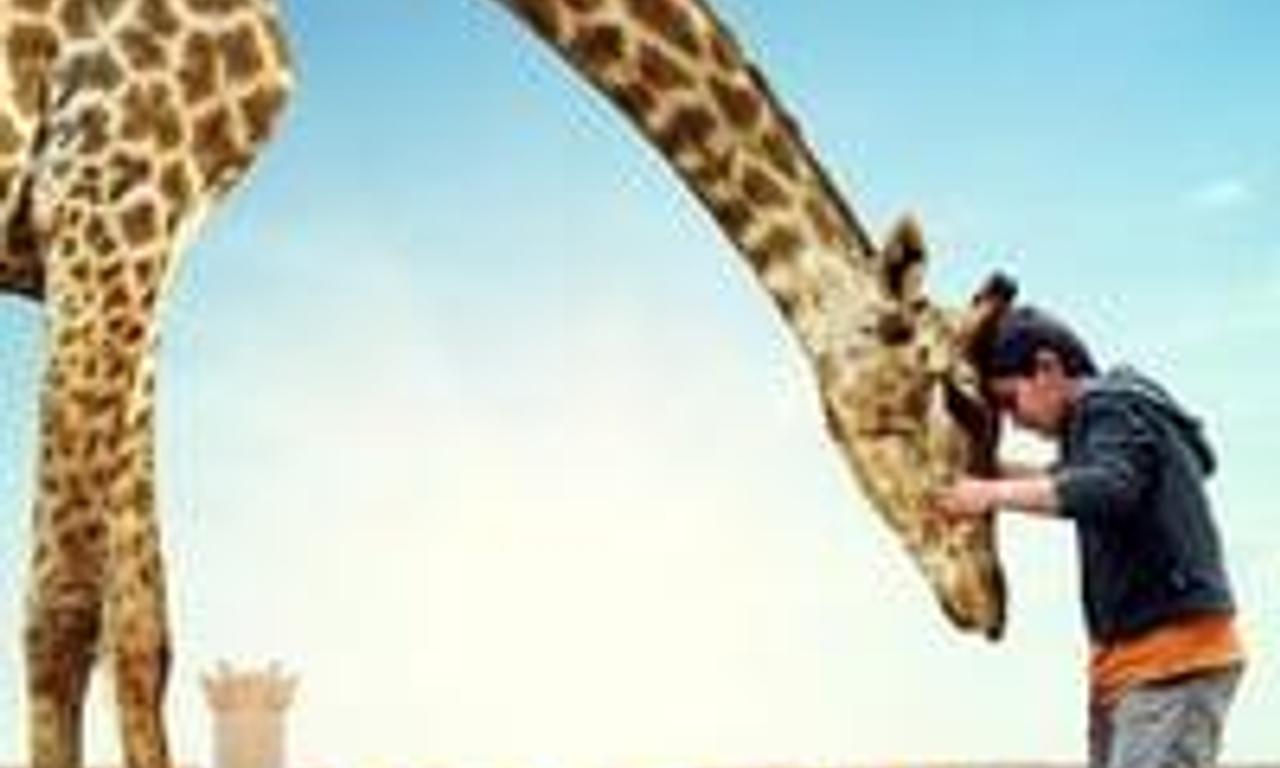 header image for Giraffada