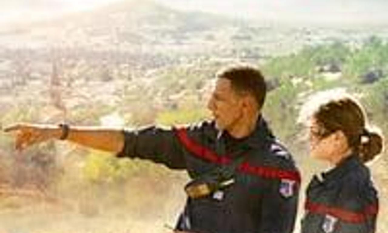 header image for The Brigade