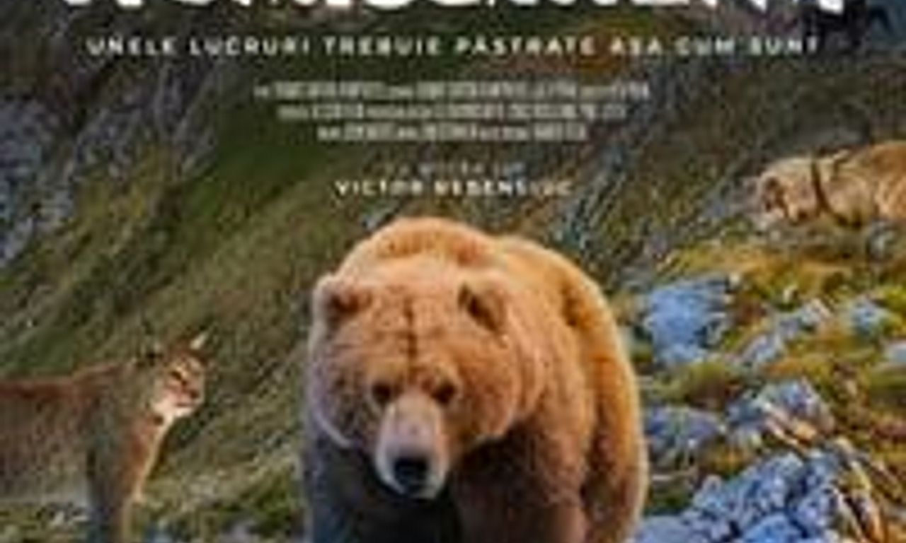 header image for Untamed Romania