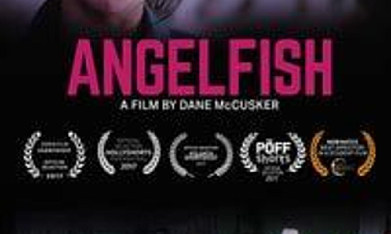 header image for Angelfish