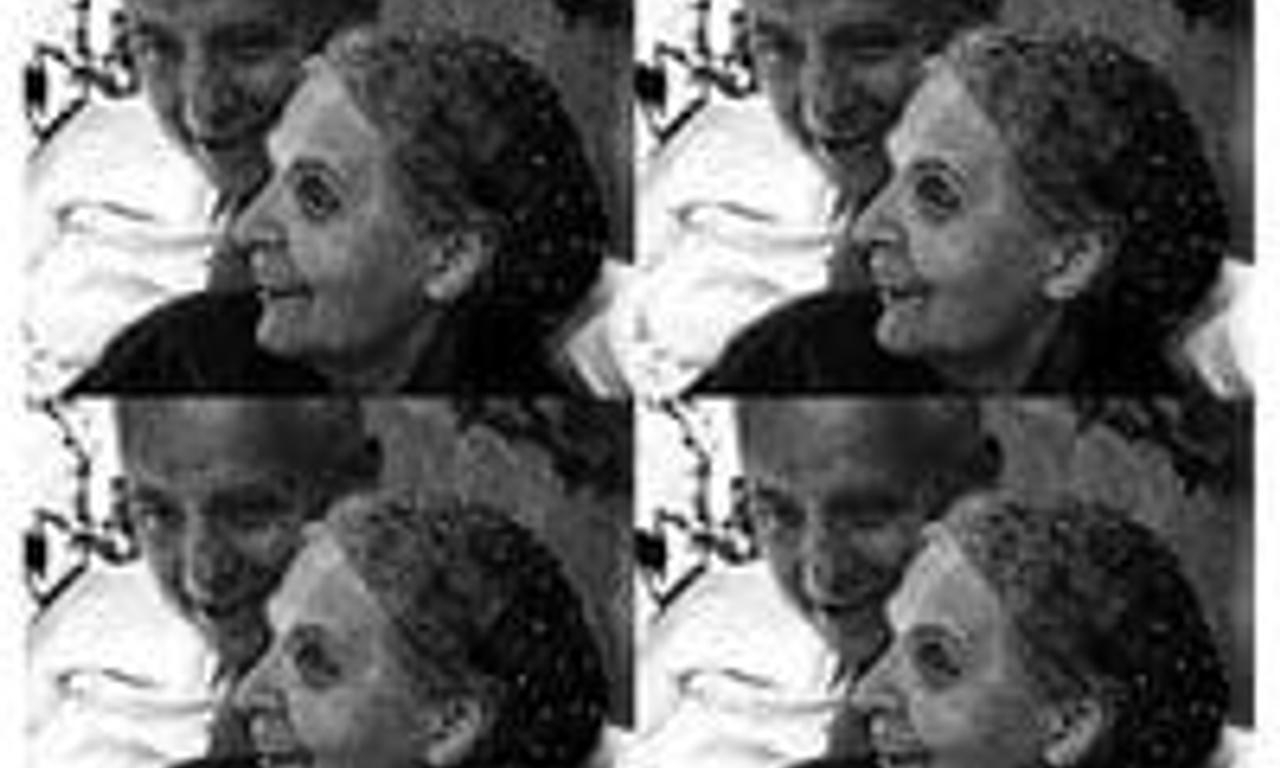 header image for Elsa the Rose