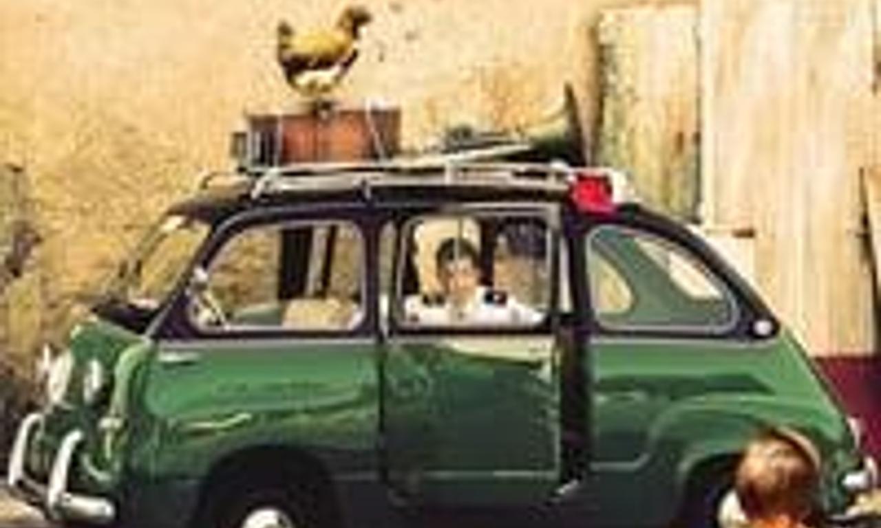 header image for Donkey Flies