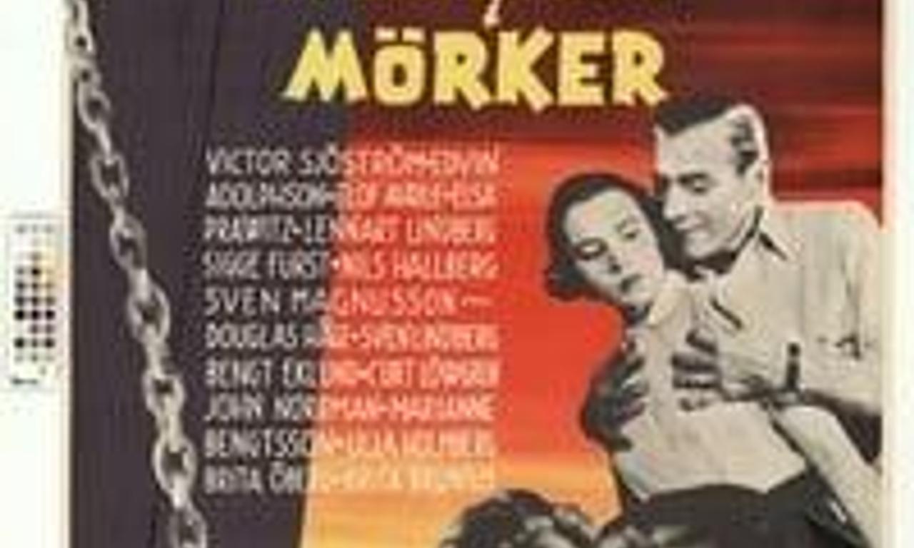 header image for Männen i mörker