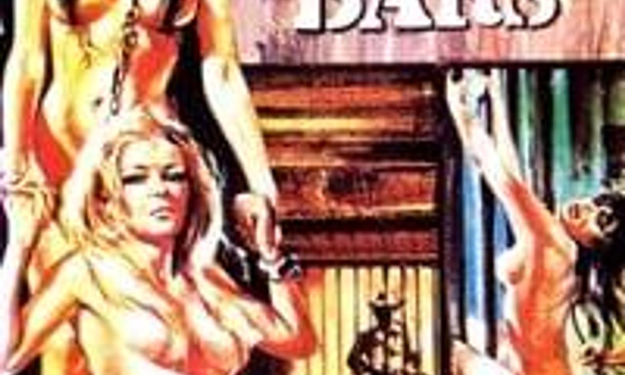 header image for Women Behind Bars