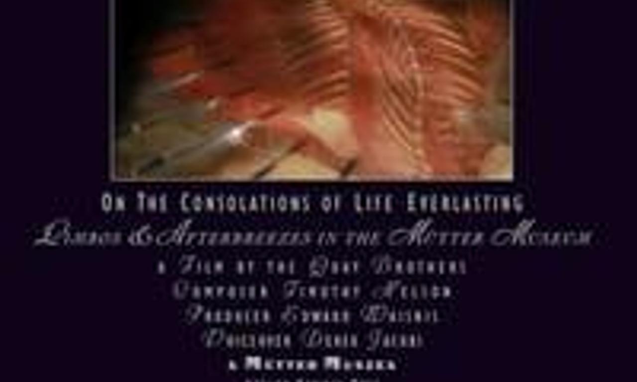 header image for Through the Weeping Glass: On the Consolations of Life Everlasting (Limbos & Afterbreezes in the Mütter Museum)