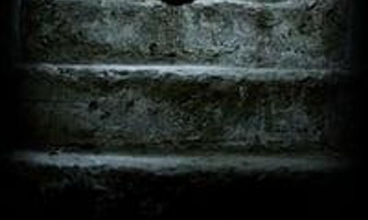 header image for Portal