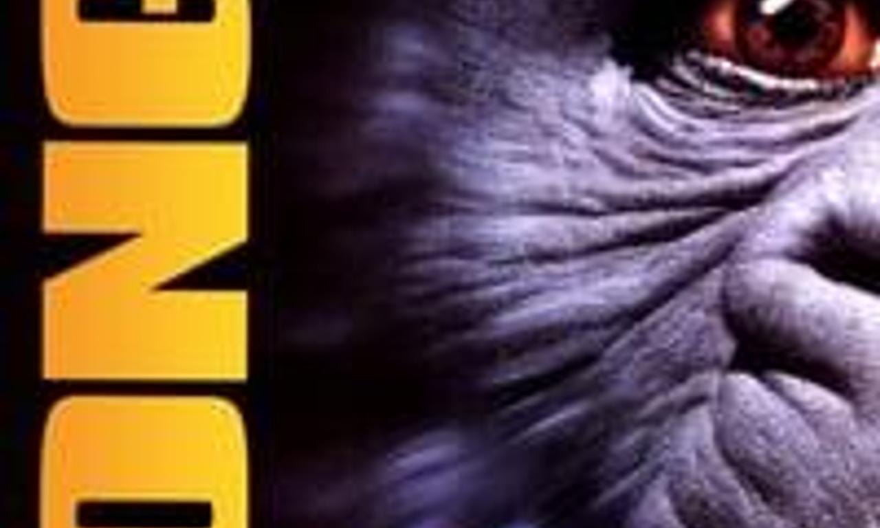 header image for Congo