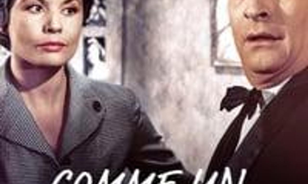 header image for Crazy in the Noodle