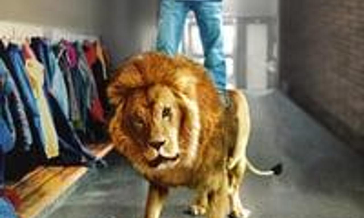 header image for Strong As A Lion