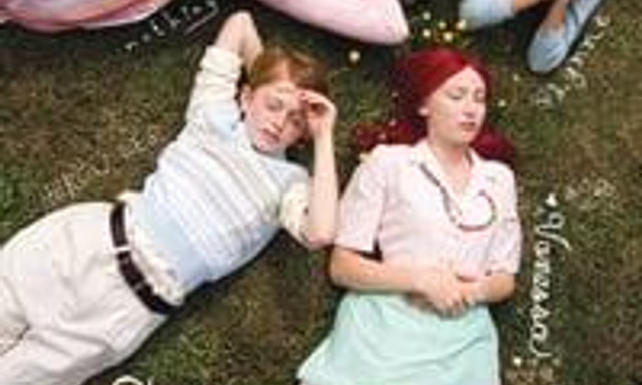 header image for Dear Lemon Lima