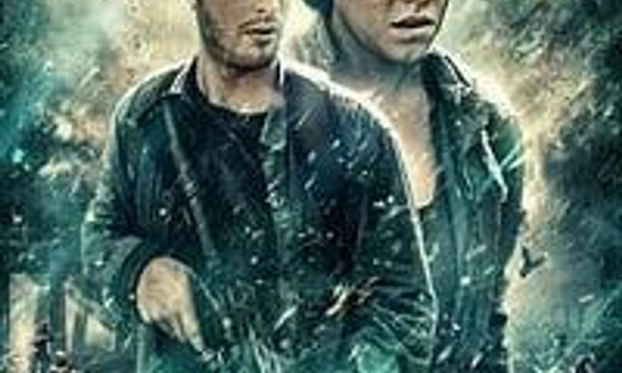 header image for The Lotus