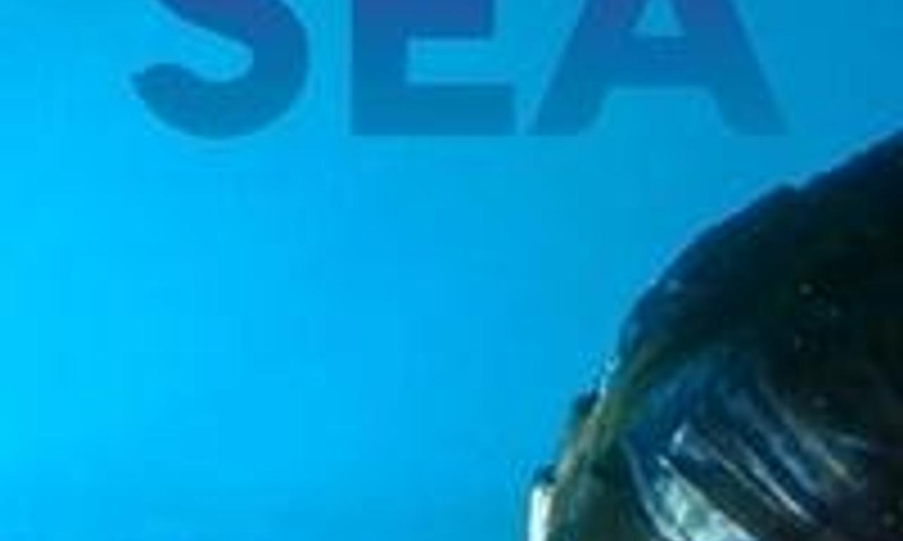 header image for Purple Sea