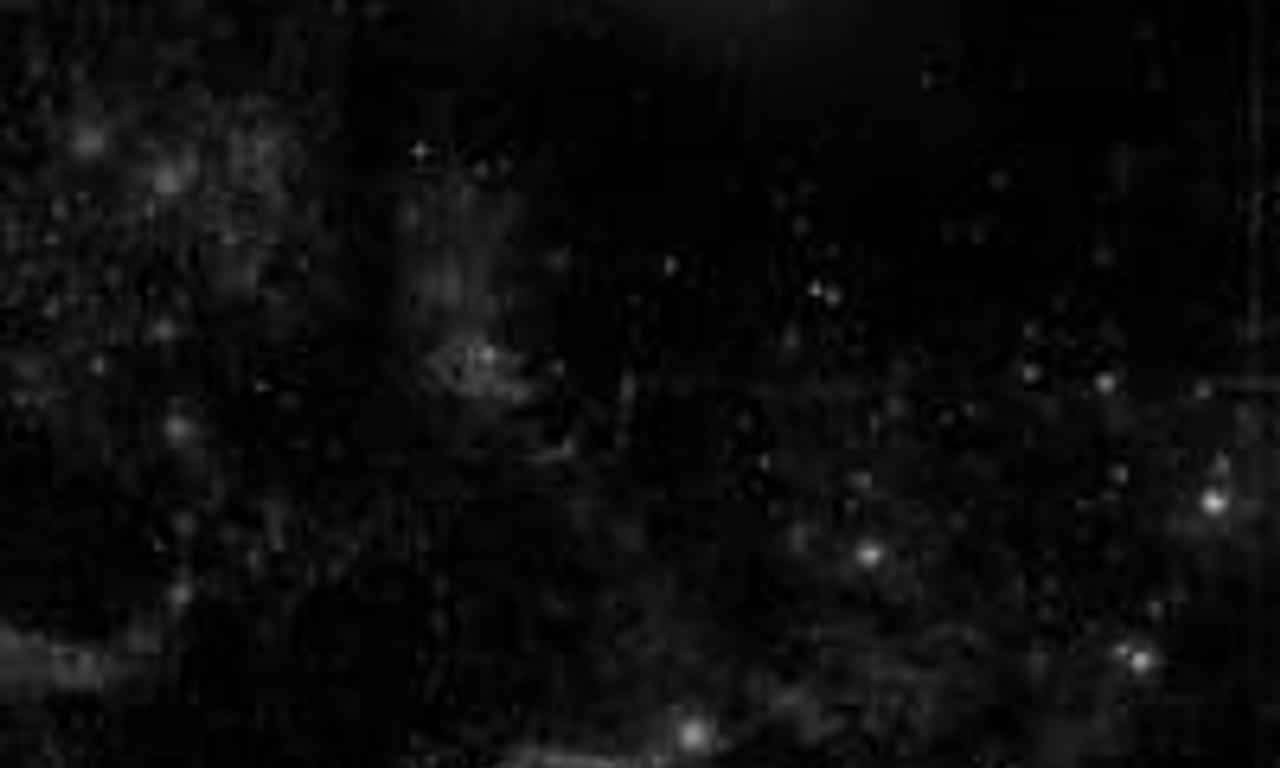 header image for Letters to Paul Morrissey