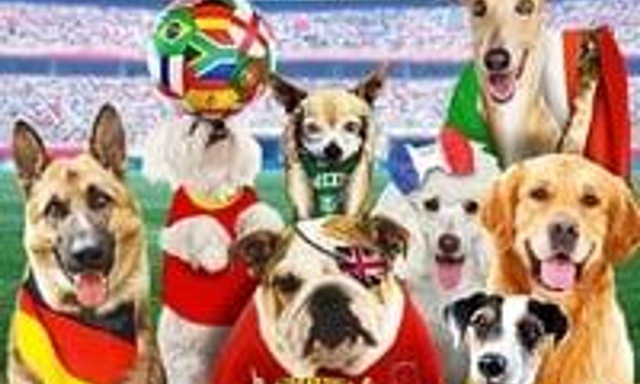 header image for Pups United