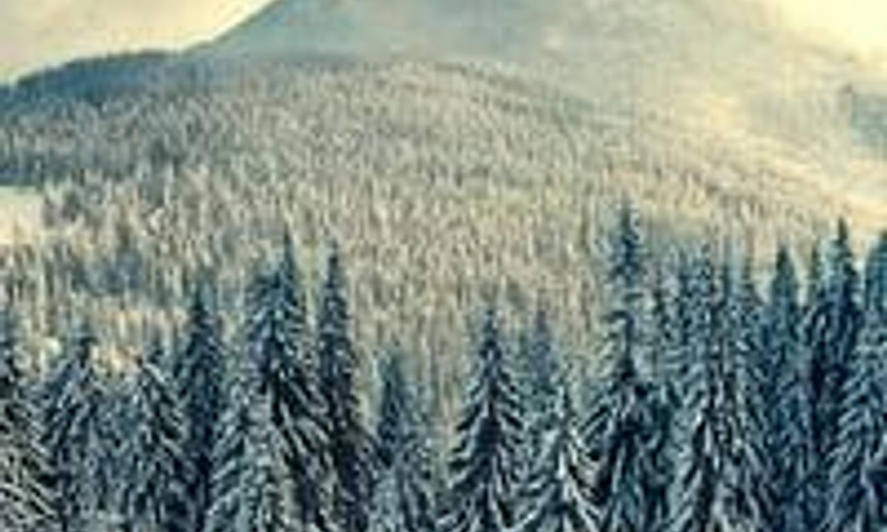 header image for Cold Ground