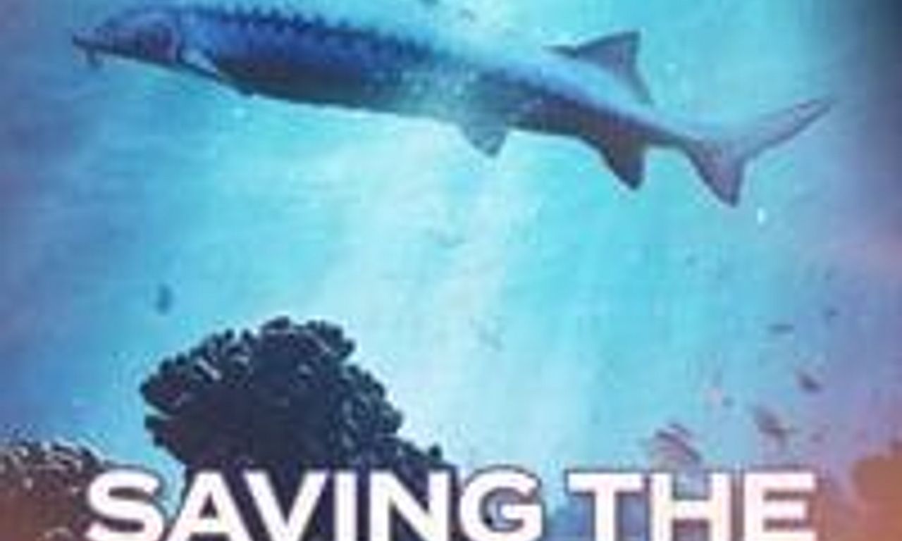 header image for Saving the Dinosaur Fish