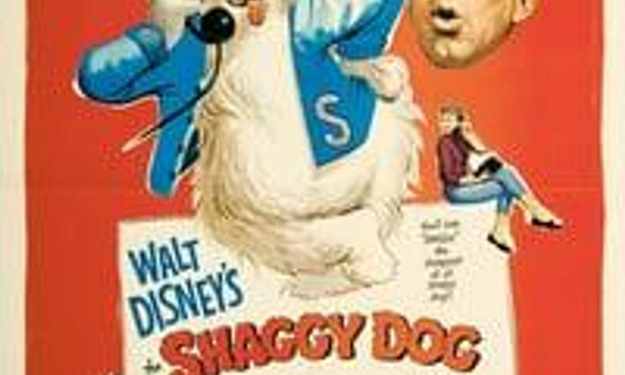 header image for The Shaggy Dog