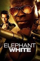 Elephant White
