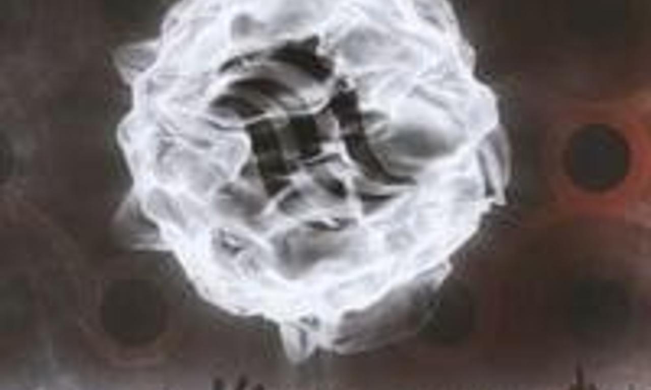 header image for Marillion: Marbles in the Park