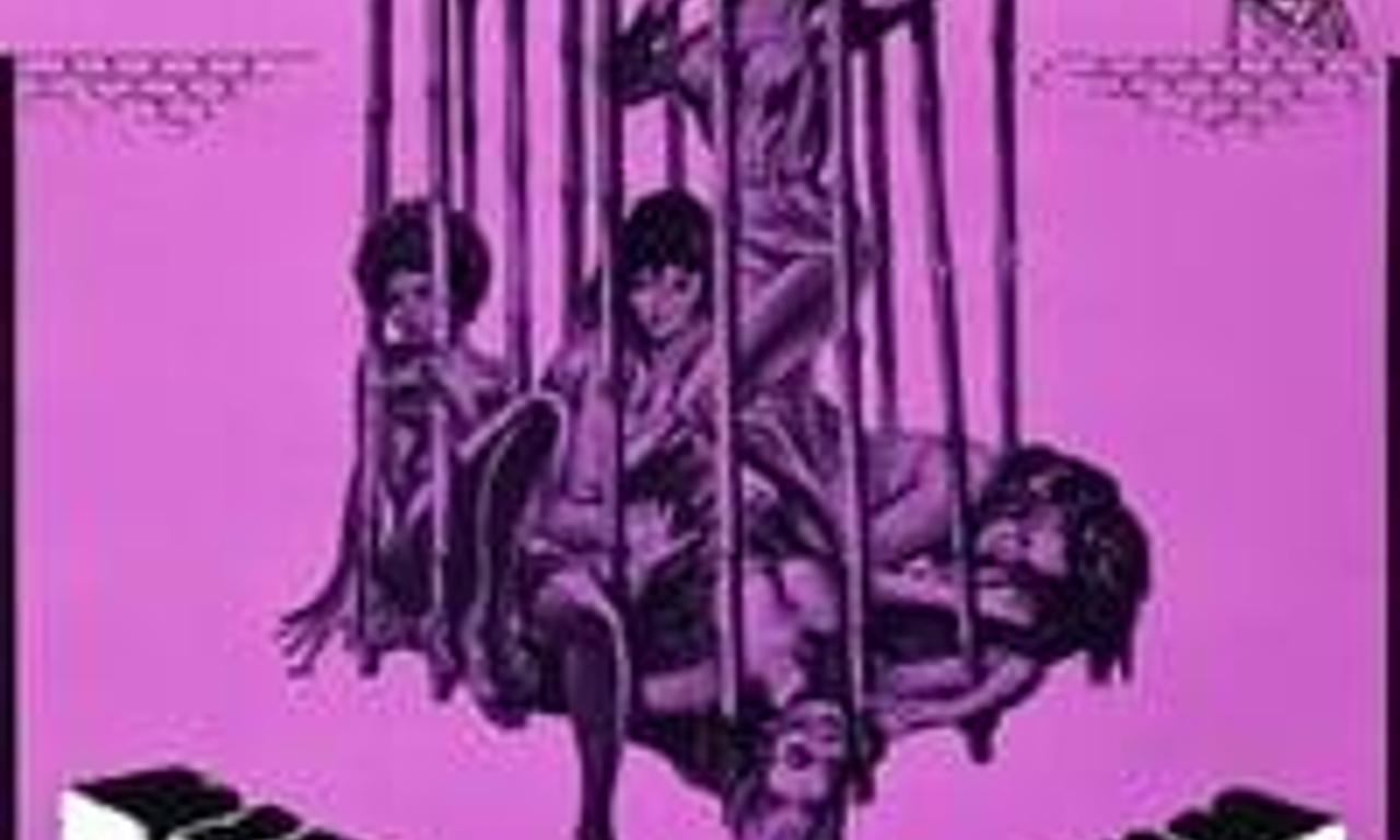 header image for The Big Doll House