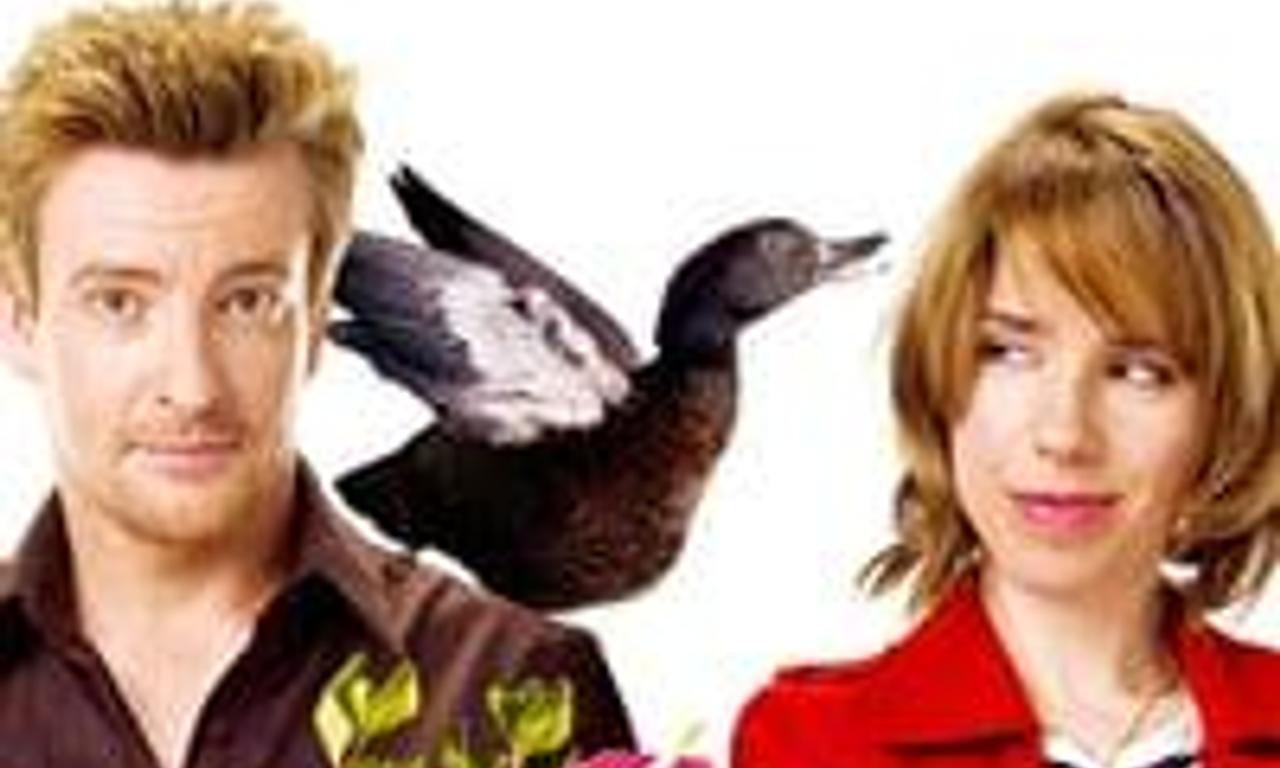 header image for Love Birds