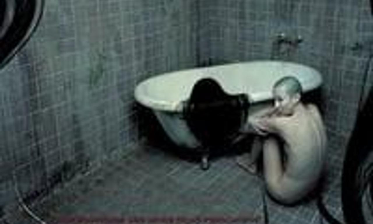 header image for The Wig