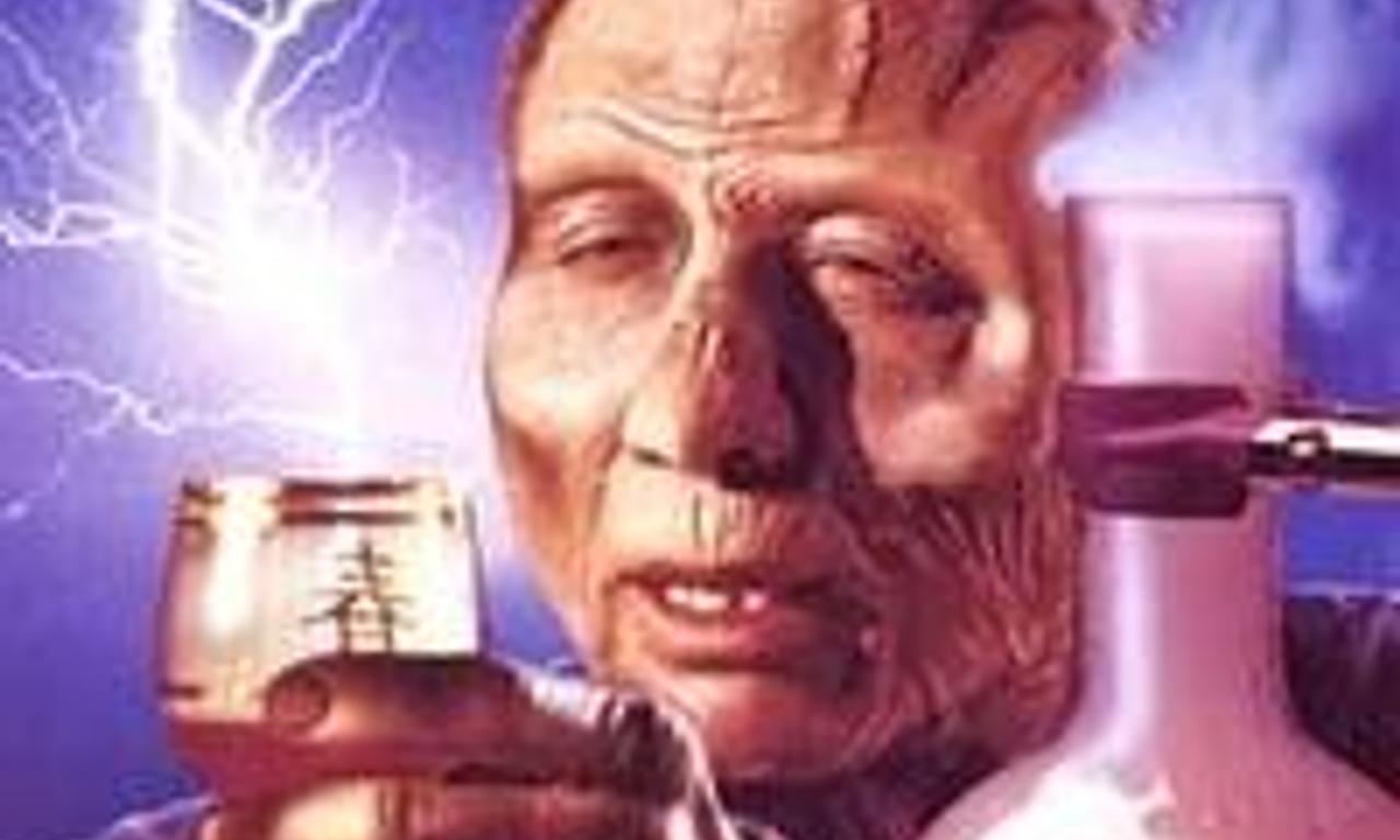 header image for The Vineyard