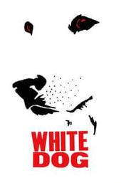White Dog