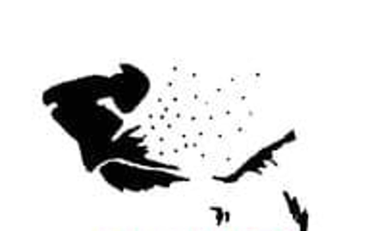 header image for White Dog