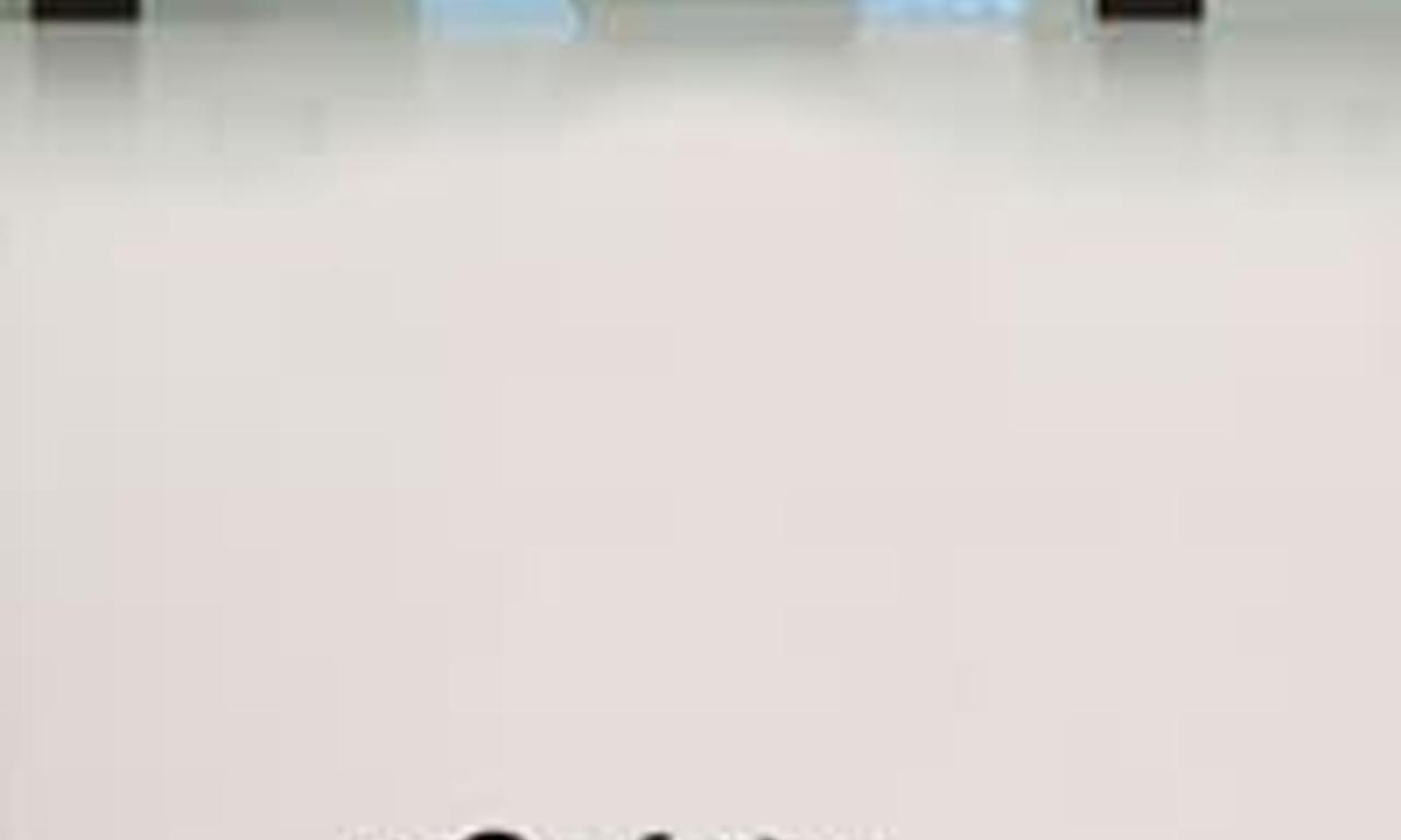 header image for The Safety of Objects