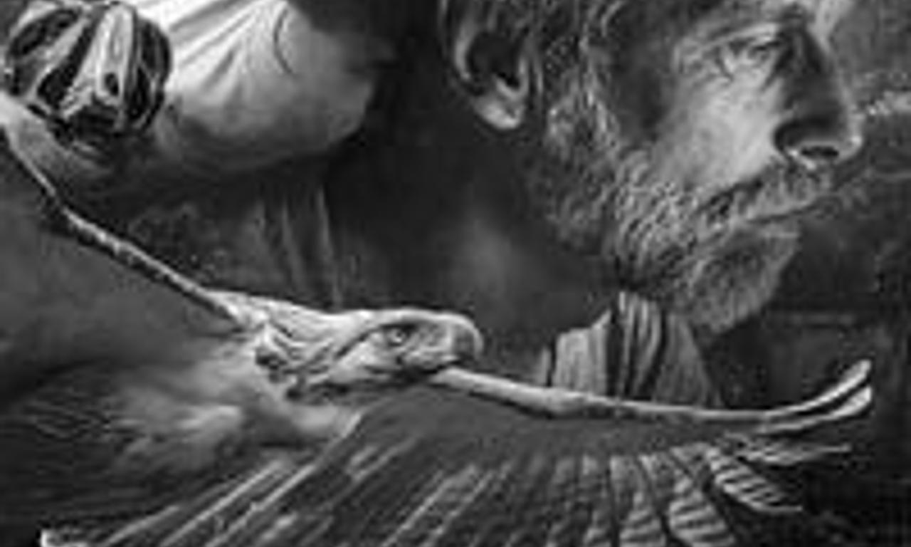 header image for Bird of Prey