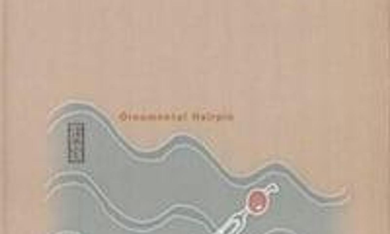 header image for Ornamental Hairpin