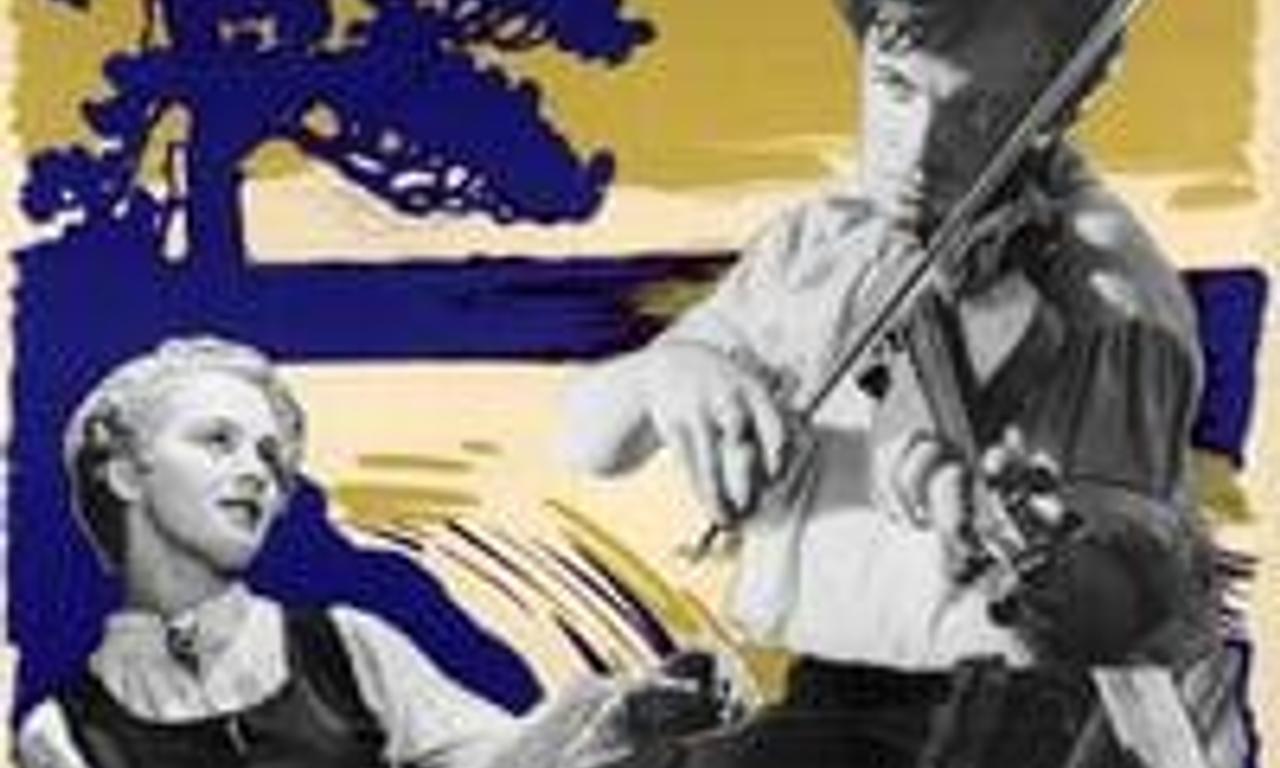 header image for Sunshine Follows Rain