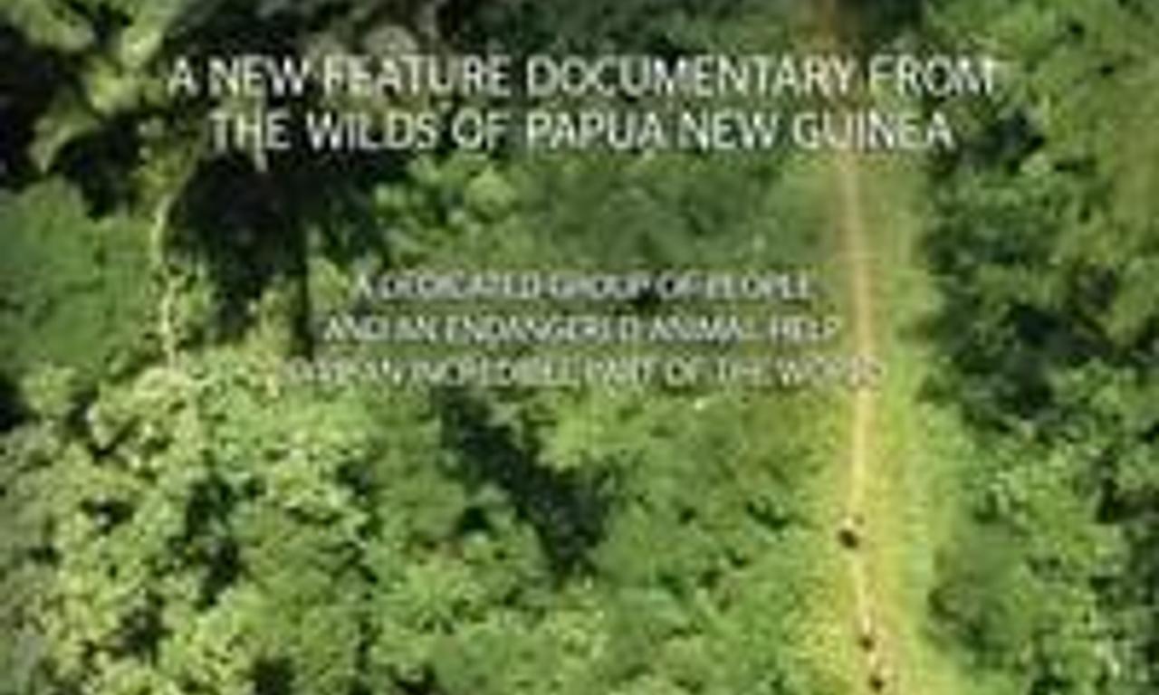 header image for Into the Jungle