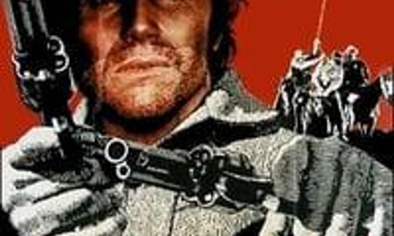 header image for Viva! Django