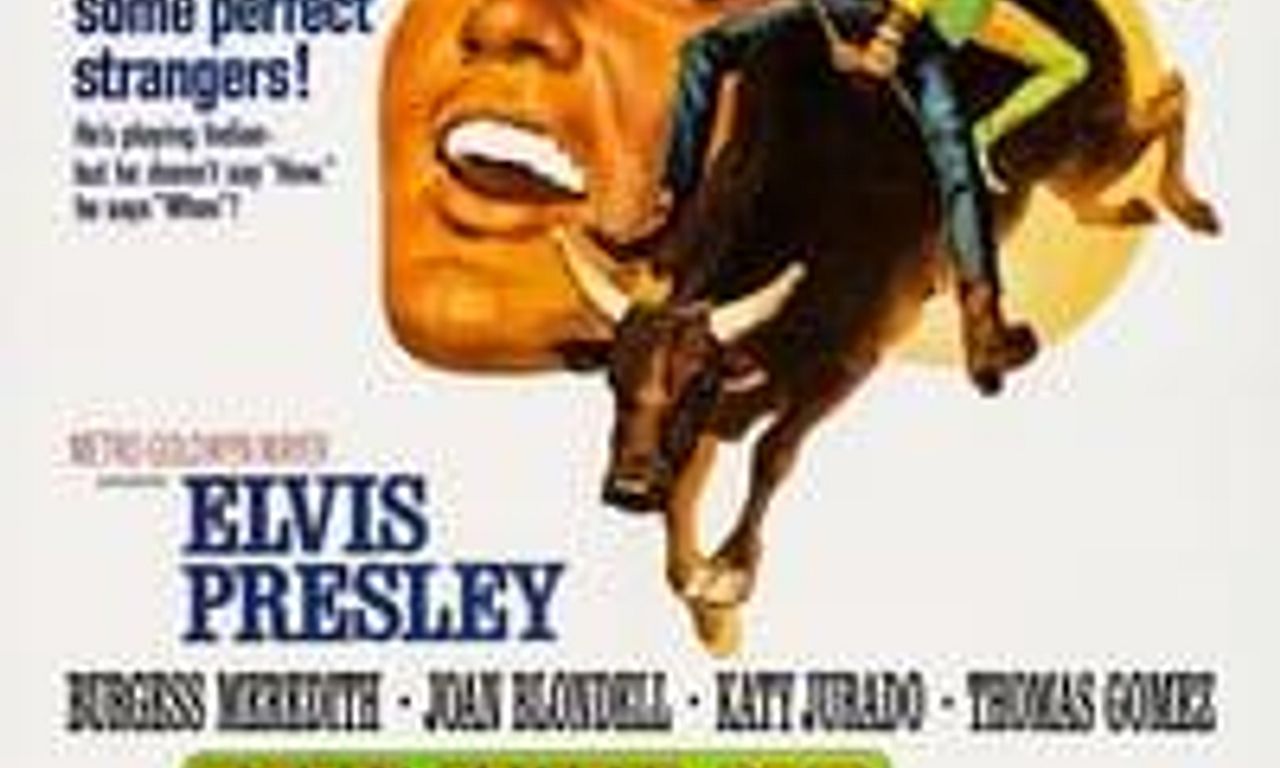 header image for Stay Away, Joe